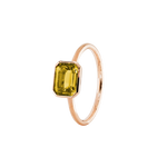 ANIKA_goldcitrin (7).png