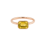 ANIKA_goldcitrin (8).png