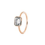 ANIKA_weisstopas (5).png