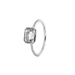 ANIKA_weisstopas (7).png