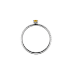 Ring ASTRONOMIC DIAMONDS - The SISS BLISS GmbH