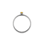 Ring ASTRONOMIC DIAMONDS - The SISS BLISS GmbH