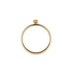 Ring ASTRONOMIC DIAMONDS - The SISS BLISS GmbH