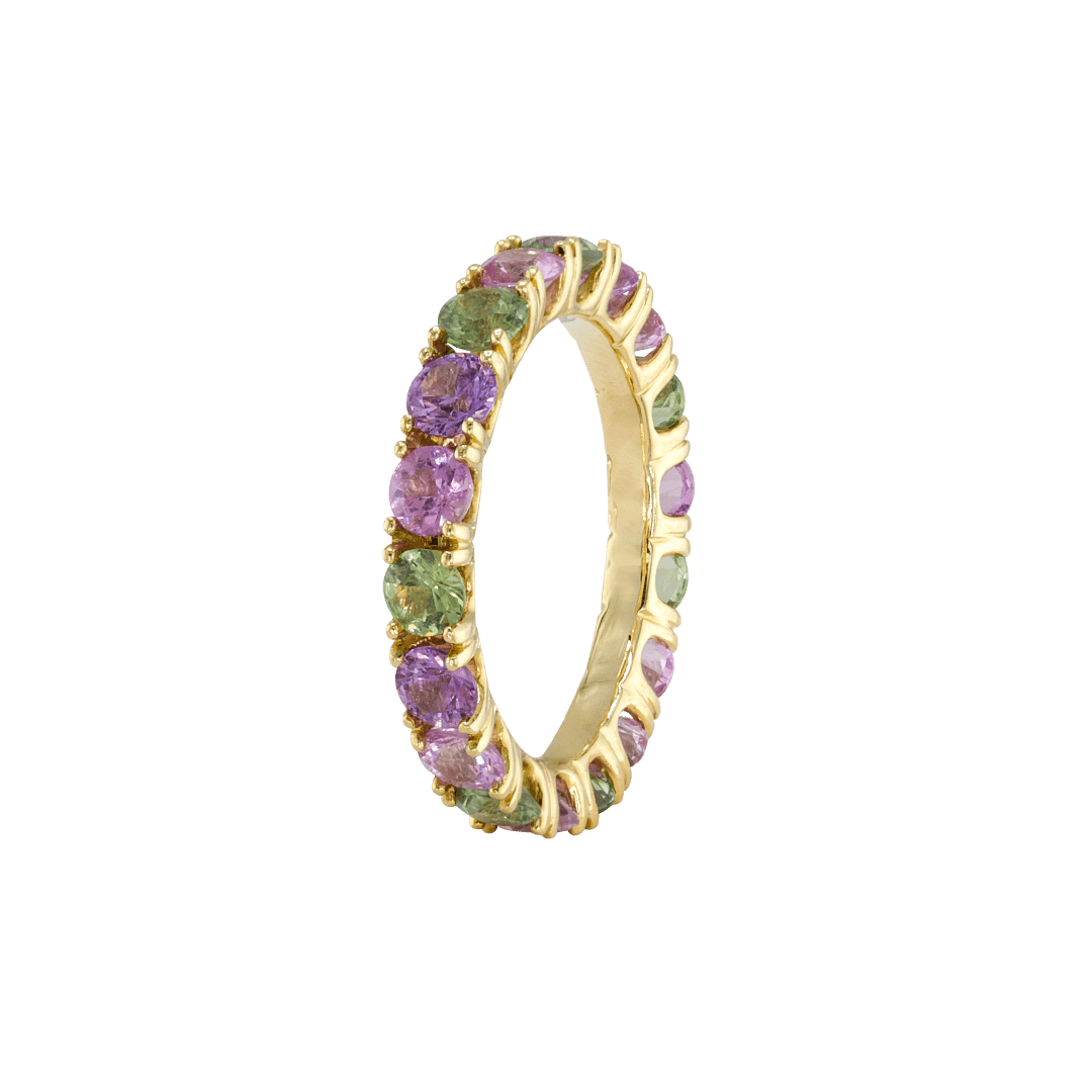 Ring ASTER - The SISS BLISS GmbH