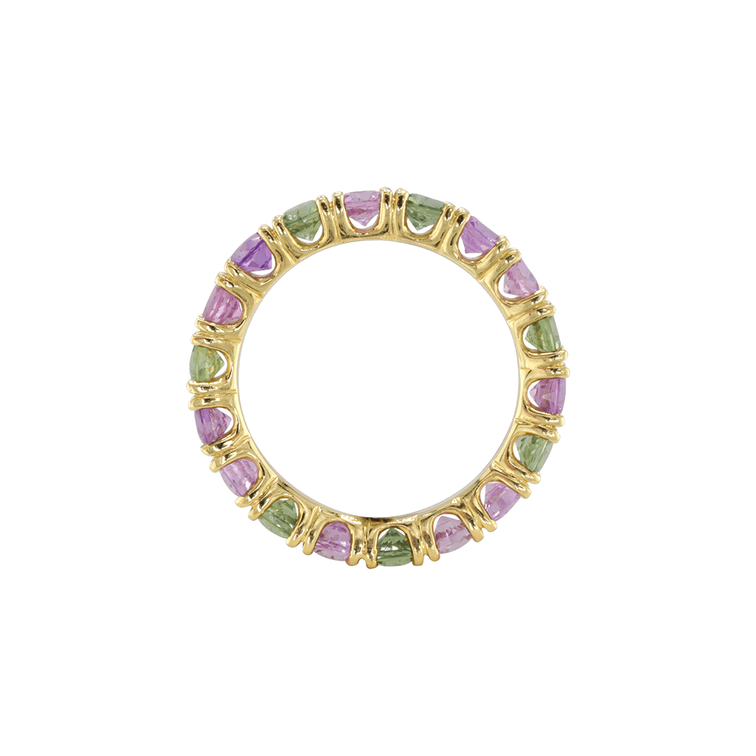 Ring ASTER - The SISS BLISS GmbH