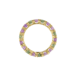 Ring ASTER - The SISS BLISS GmbH