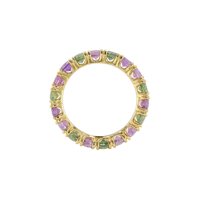 Ring ASTER - The SISS BLISS GmbH
