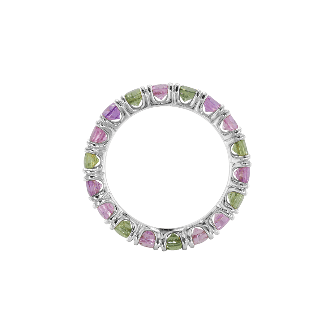 Ring ASTER - The SISS BLISS GmbH