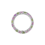 Ring ASTER - The SISS BLISS GmbH