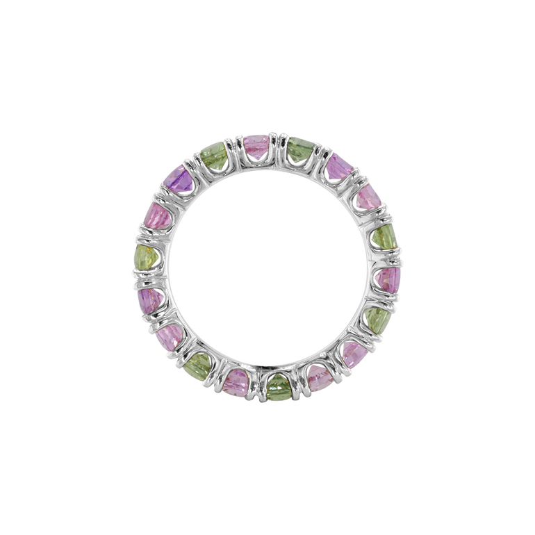 Ring ASTER - The SISS BLISS GmbH