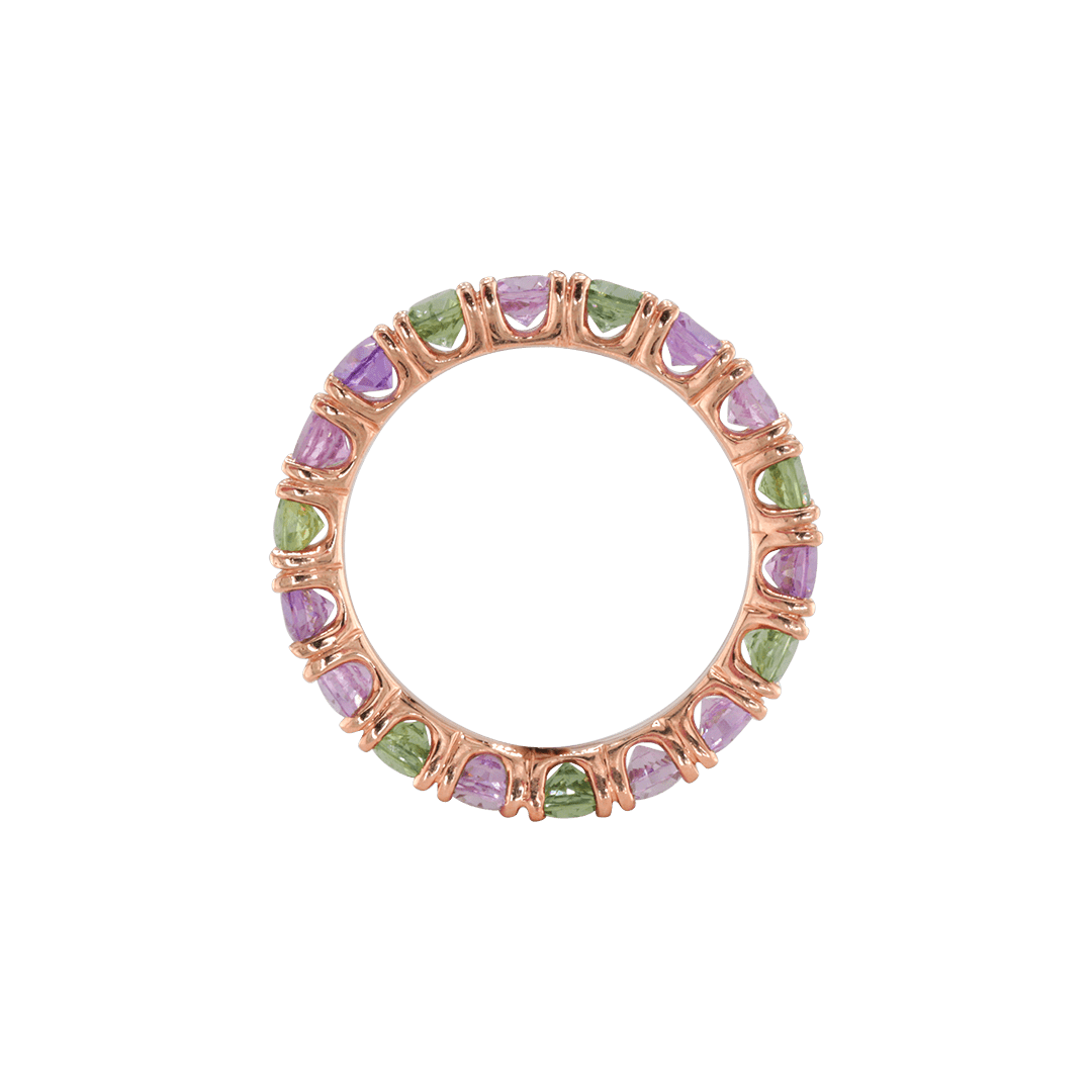 Ring ASTER - The SISS BLISS GmbH