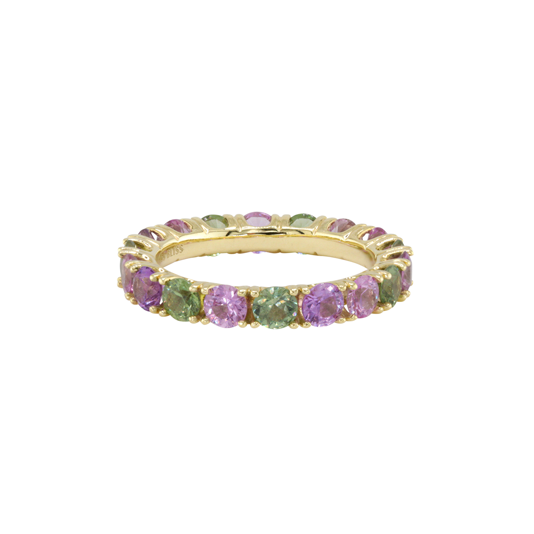 Ring ASTER - The SISS BLISS GmbH