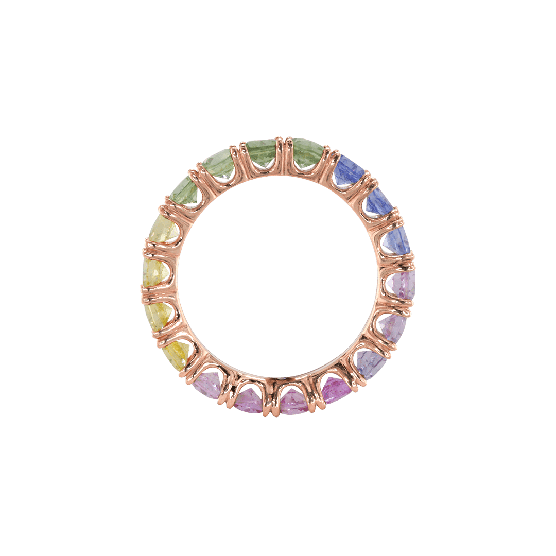 Ring ASTER - The SISS BLISS GmbH