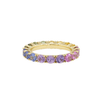 Ring ASTER - The SISS BLISS GmbH