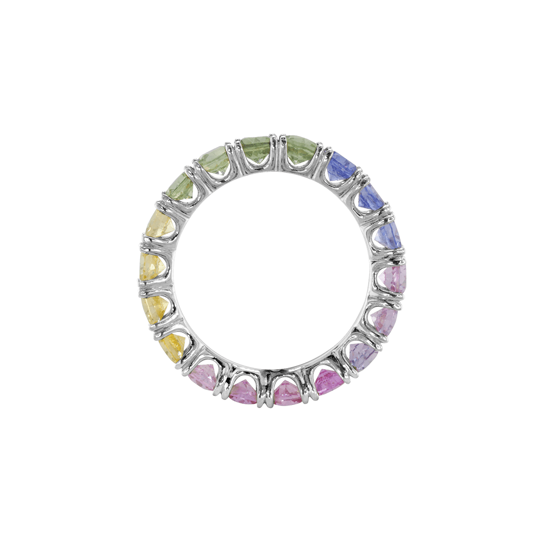 Ring ASTER - The SISS BLISS GmbH