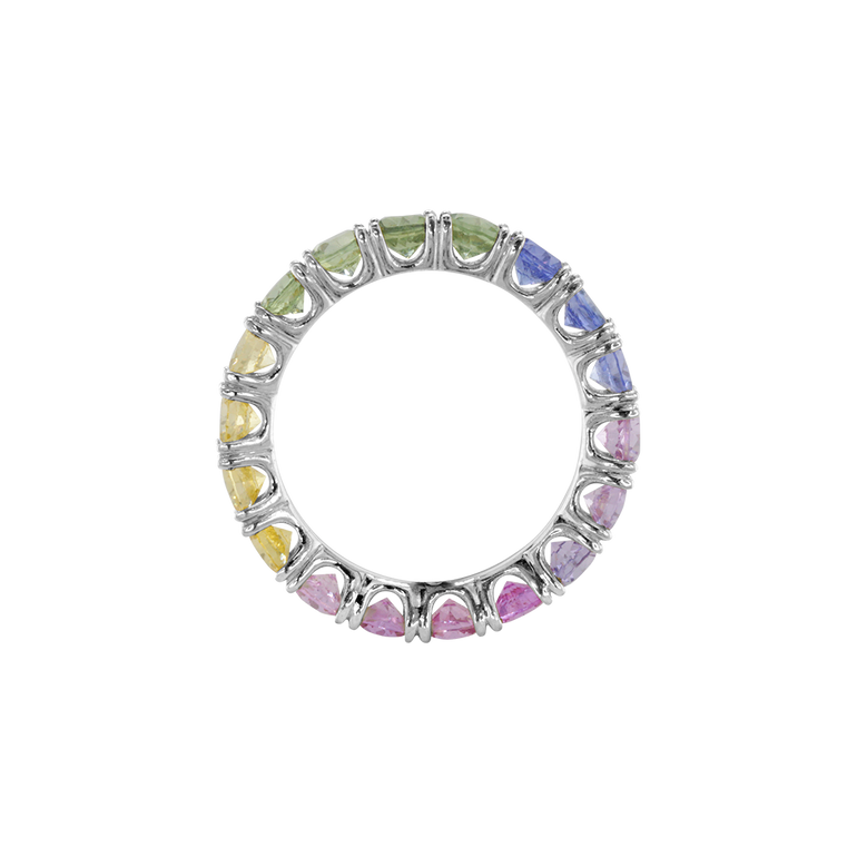 Ring ASTER - The SISS BLISS GmbH