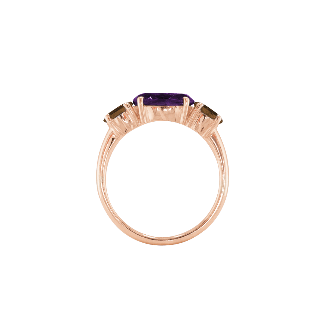 Ring SARA - The SISS BLISS