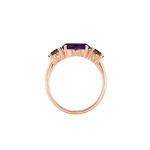 Ring SARA - The SISS BLISS