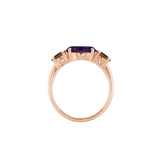 Ring SARA - The SISS BLISS