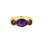 Ring SARA - The SISS BLISS