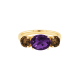 Ring SARA - The SISS BLISS