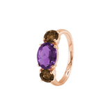 Ring SARA - The SISS BLISS