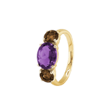 Ring SARA - The SISS BLISS