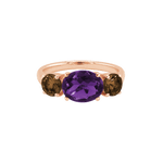 Ring SARA - The SISS BLISS