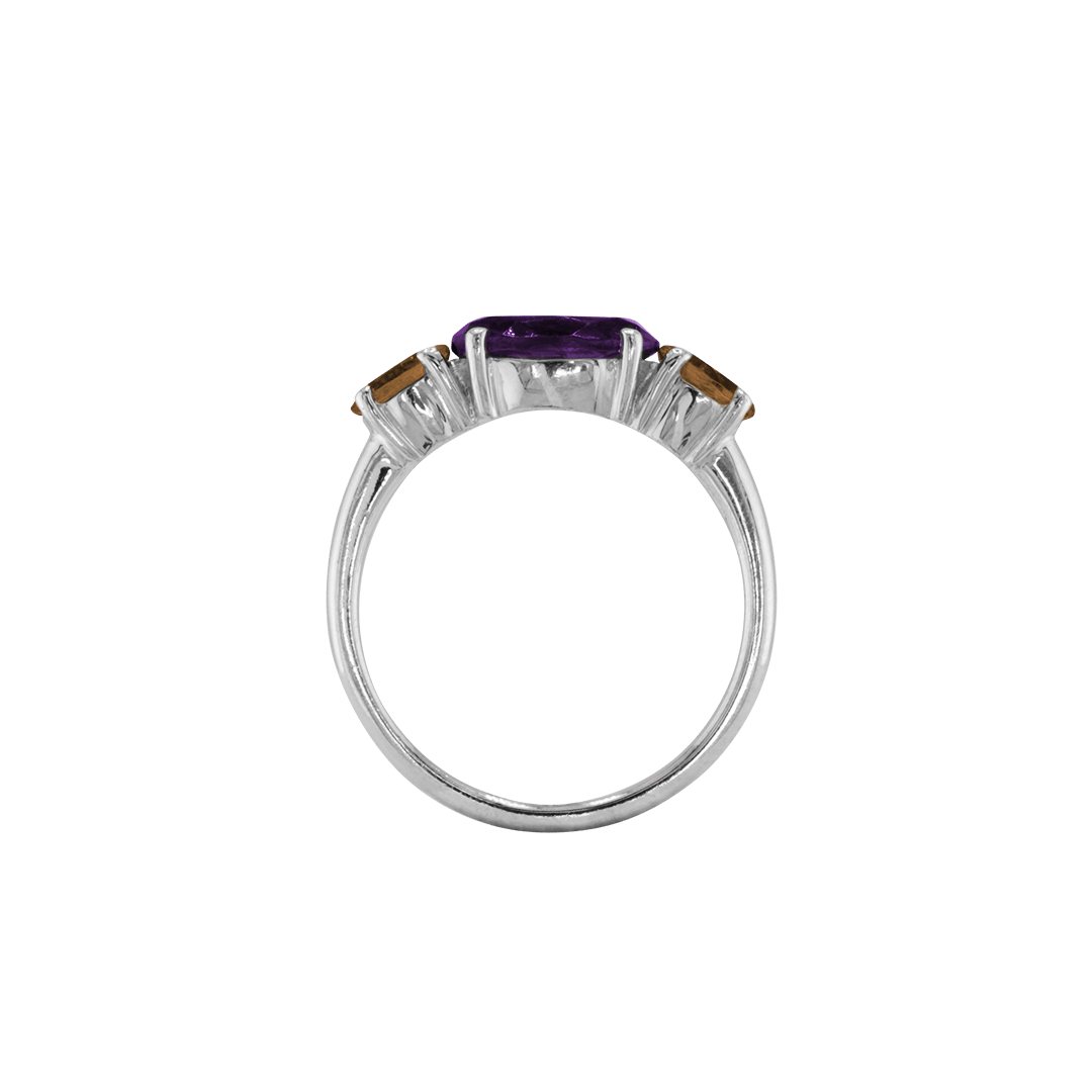 Ring SARA - The SISS BLISS