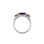 Ring SARA - The SISS BLISS