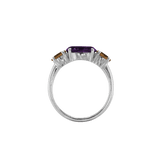 Ring SARA - The SISS BLISS