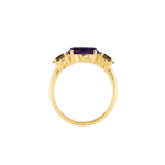 Ring SARA - The SISS BLISS