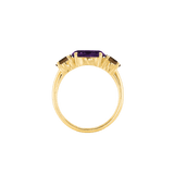 Ring SARA - The SISS BLISS