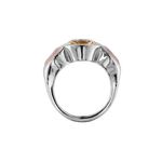 Ring BABSI - The SISS BLISS