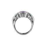 Ring BABSI - The SISS BLISS