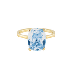 Ring BLISSI Gelbgold Gr. 52