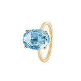 Ring BLISSI oval - The SISS BLISS