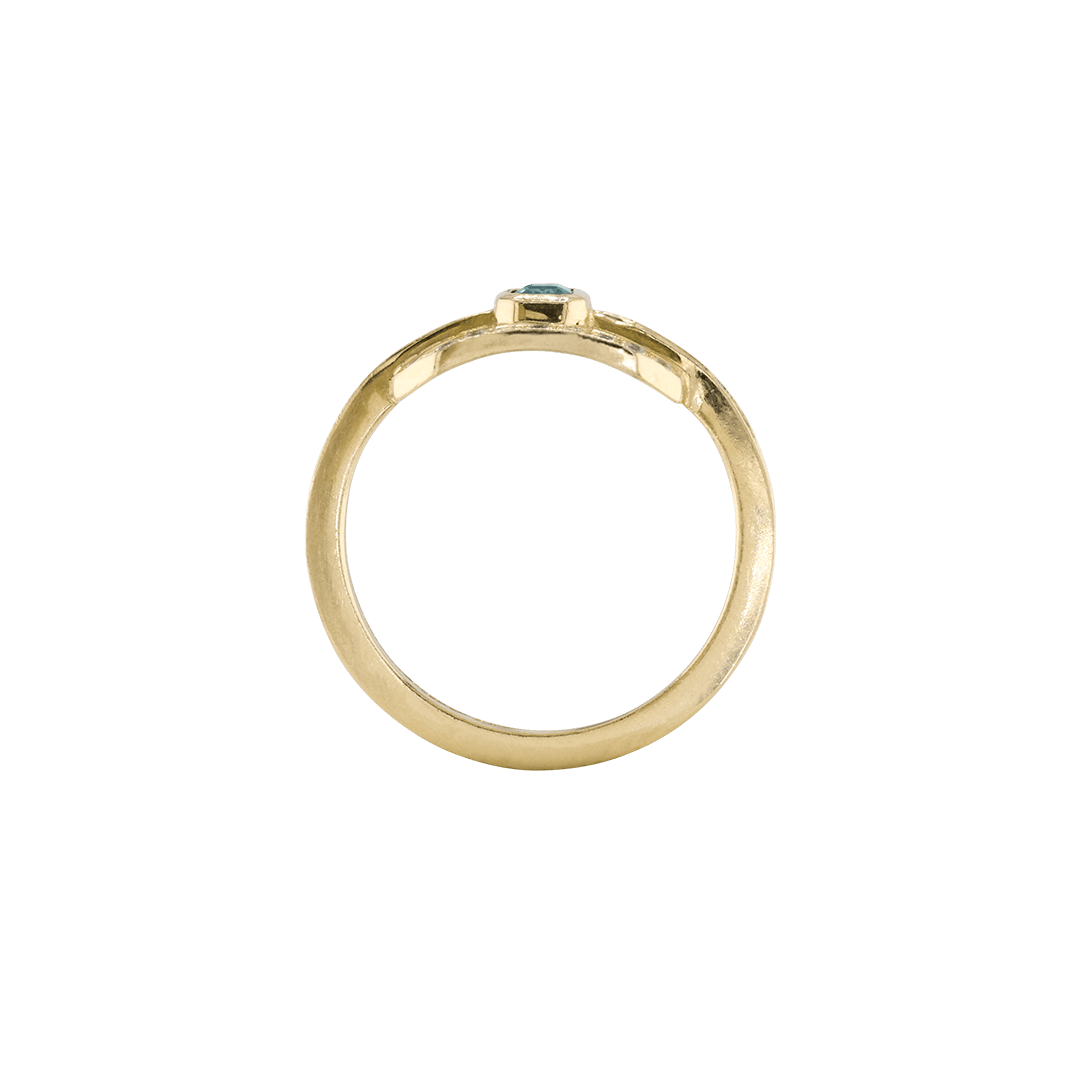 Ring CLEO - The SISS BLISS