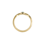 Ring CLEO - The SISS BLISS