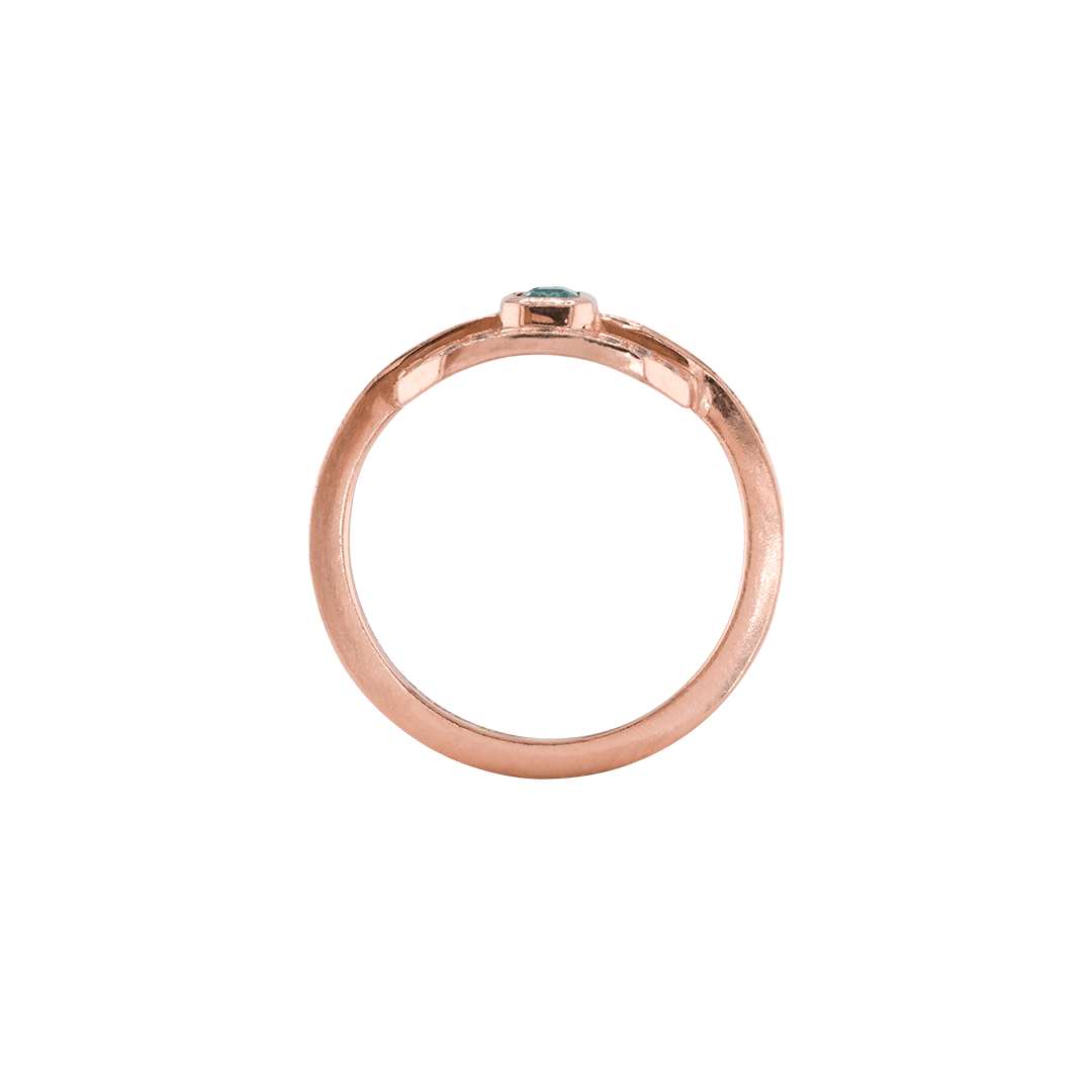 Ring CLEO - The SISS BLISS