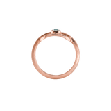 Ring CLEO - The SISS BLISS