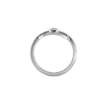 Ring CLEO - The SISS BLISS