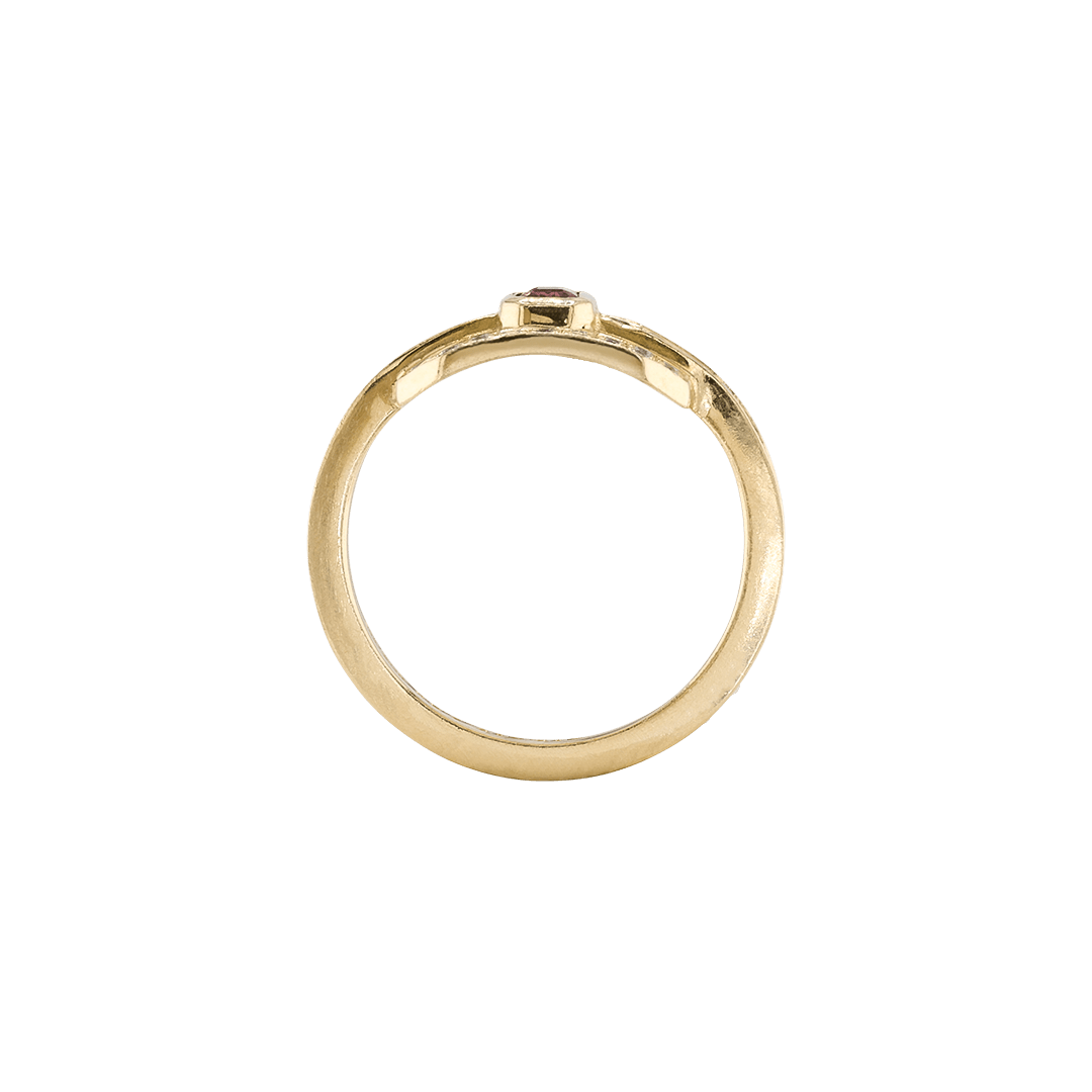 Ring CLEO - The SISS BLISS