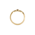 Ring CLEO - The SISS BLISS