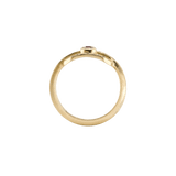 Ring CLEO - The SISS BLISS