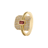 Ring CLEO - The SISS BLISS