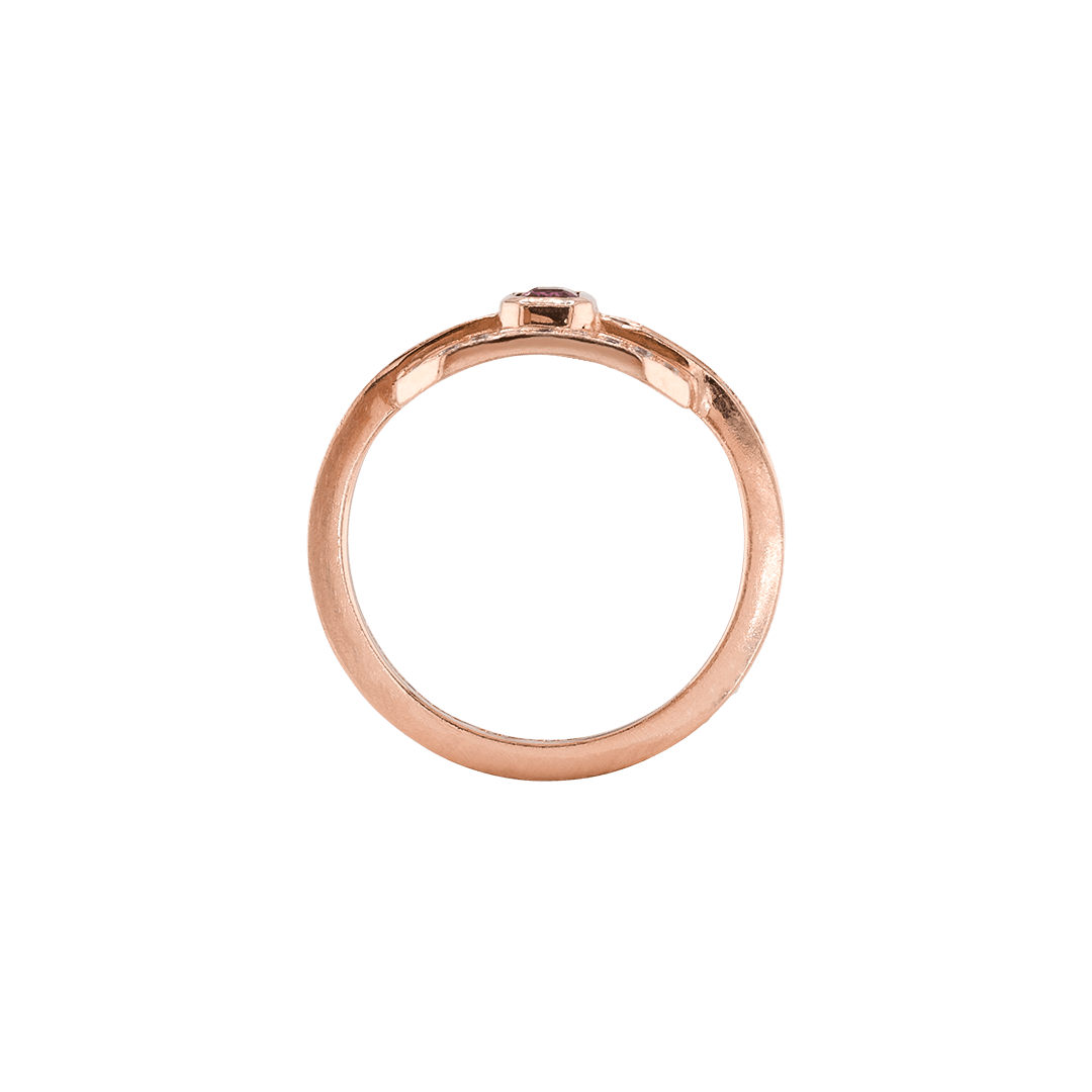 Ring CLEO - The SISS BLISS