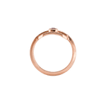 Ring CLEO - The SISS BLISS