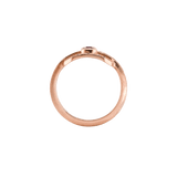 Ring CLEO - The SISS BLISS