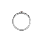 Ring CLEO - The SISS BLISS